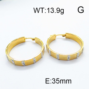SS Earrings  6E4003260bbml-478