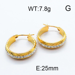 SS Earrings  6E4003269vbmb-478
