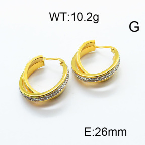 SS Earrings  6E4003270ahjb-434