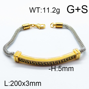 SS Bracelet  6B2002736vbpb-455