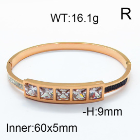 SS Bangle  6BA401197aivb-612