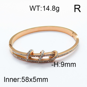 SS Bangle  6BA401233aivb-612