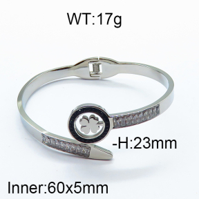 SS Bangle  6BA401300ahpv-612