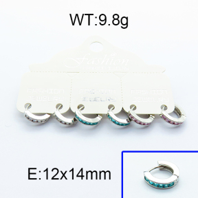 SS Earrings  5E4000010bjja-256