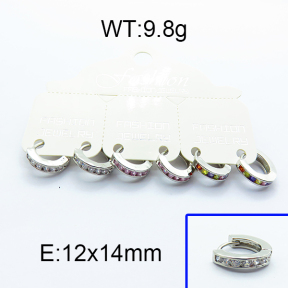 SS Earrings  5E4000011bjja-256