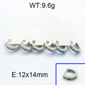 SS Earrings  5E4000012bjja-256