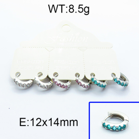 SS Earrings  5E4000013bjja-256