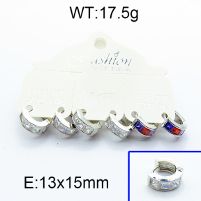 SS Earrings  5E4000021ajma-256
