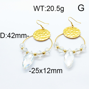 SS Earrings  6E4003290bbov-372