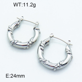SS Earrings  3E2003810bhia-066