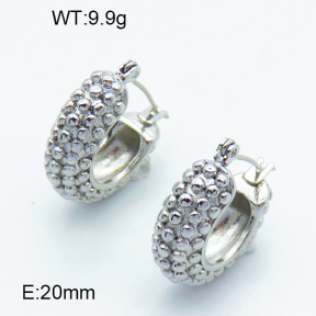 SS Earrings  3E2003814vhha-066