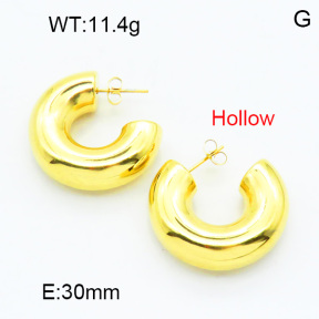 SS Earrings  3E2003816bhia-066