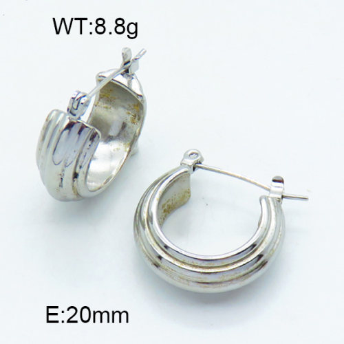 Stainless Steel Earrings  3E2003819vhha-066