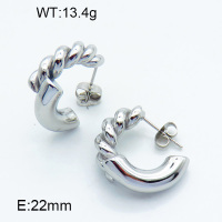 Stainless Steel Earrings  3E2003825bhva-066