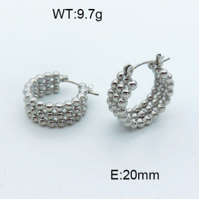 SS Earrings  3E2003834abol-066