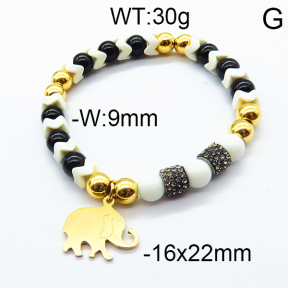 SS Bracelet 6B4002256bbov-464