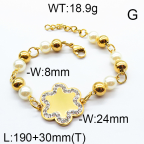 SS Bracelet 6B4002264bbov-464