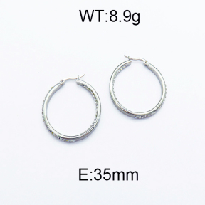 SS Earrings  5E4000086aail-478