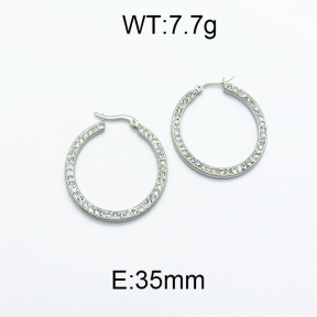 SS Earrings  5E4000089avja-478
