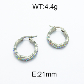 SS Earrings  5E4000091vaia-478