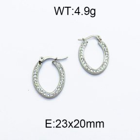 SS Earrings  5E4000095vail-478