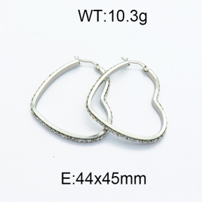 SS Earrings  5E4000096aajl-478