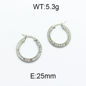 SS Earrings  5E4000097vail-478