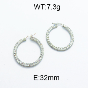 SS Earrings  5E4000099vail-478