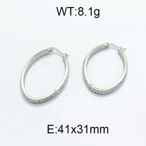 SS Earrings  5E4000101avja-478