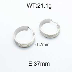 SS Earrings  5E4000103baka-478