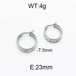 SS Earrings  5E4000104baka-478