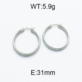 SS Earrings  5E4000105aajl-478