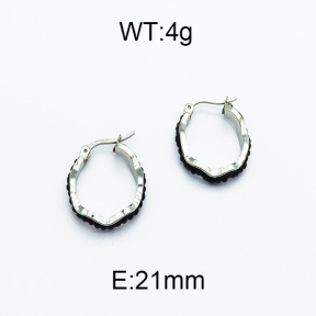 SS Earrings  5E4000109avja-478