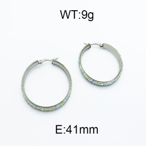 SS Earrings  5E4000110avja-478