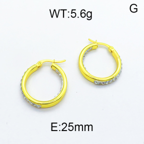 SS Earrings  5E4000117avja-478