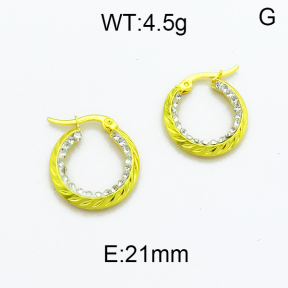 SS Earrings  5E4000120aajl-478