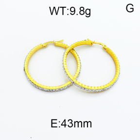 SS Earrings  5E4000122baka-478