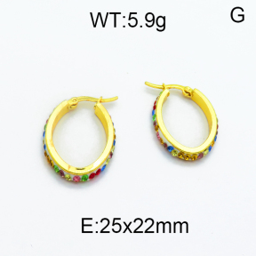 SS Earrings  5E4000123aajl-478