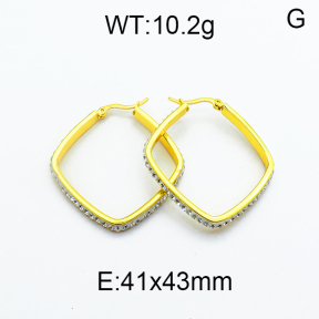 SS Earrings  5E4000125baka-478