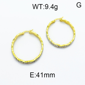 SS Earrings  5E4000127baka-478