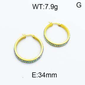 SS Earrings  5E4000131aajl-478