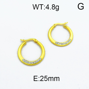 SS Earrings  5E4000134vail-478