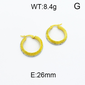 SS Earrings  5E4000136baka-478