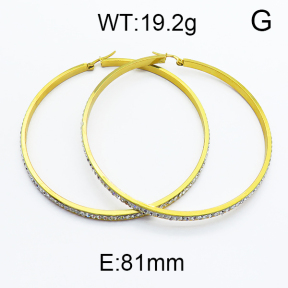 SS Earrings  5E4000140bbml-478