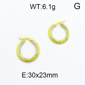 SS Earrings  5E4000142baka-478