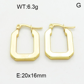 SS Earrings  3E2003855aaho-450
