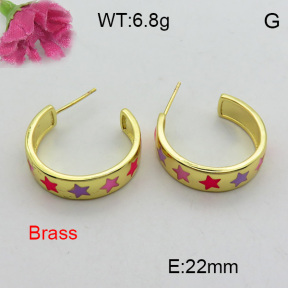 Fashion Brass Earrings  F3E300967bbov-L017