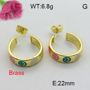 Fashion Brass Earrings  F3E300968bbov-L017