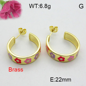 Fashion Brass Earrings  F3E300969bbov-L017