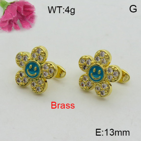 Fashion Brass Earrings  F3E402282bbov-L017